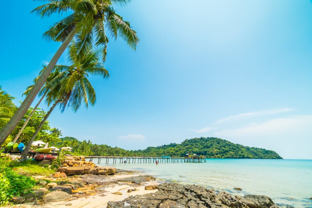 a beach with palm trees and a pier