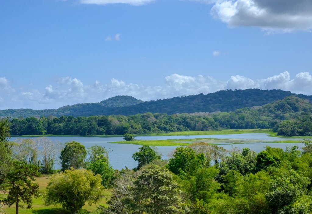 Landscape of a lake surrounded by hills covered in greenery under a blue sky at daytime